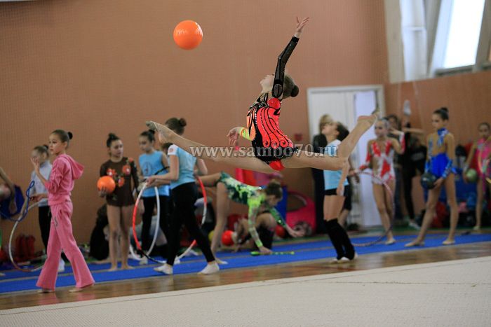 "Художественная гимнастика"