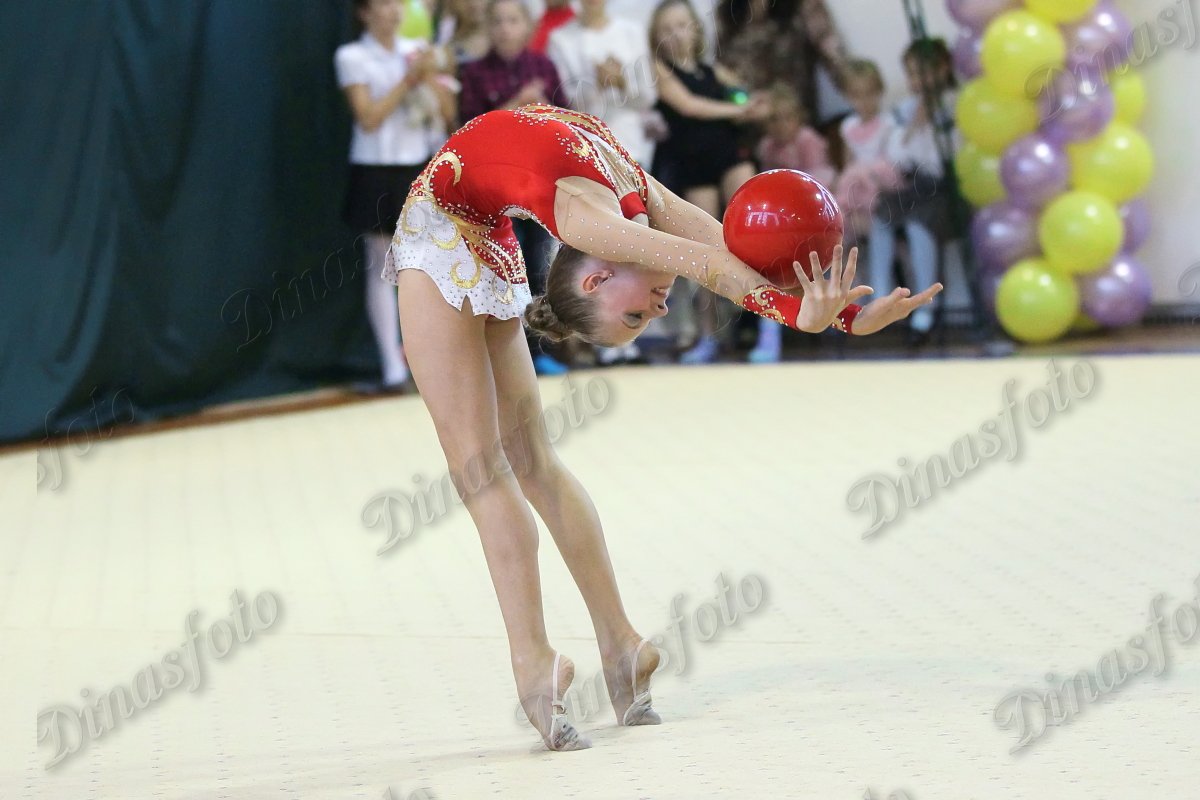 "Художественная гимнастика"