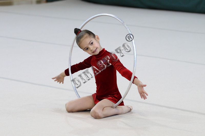 "Художественная гимнастика"