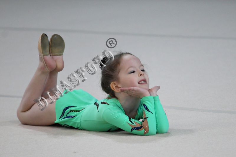 "Художественная гимнастика"