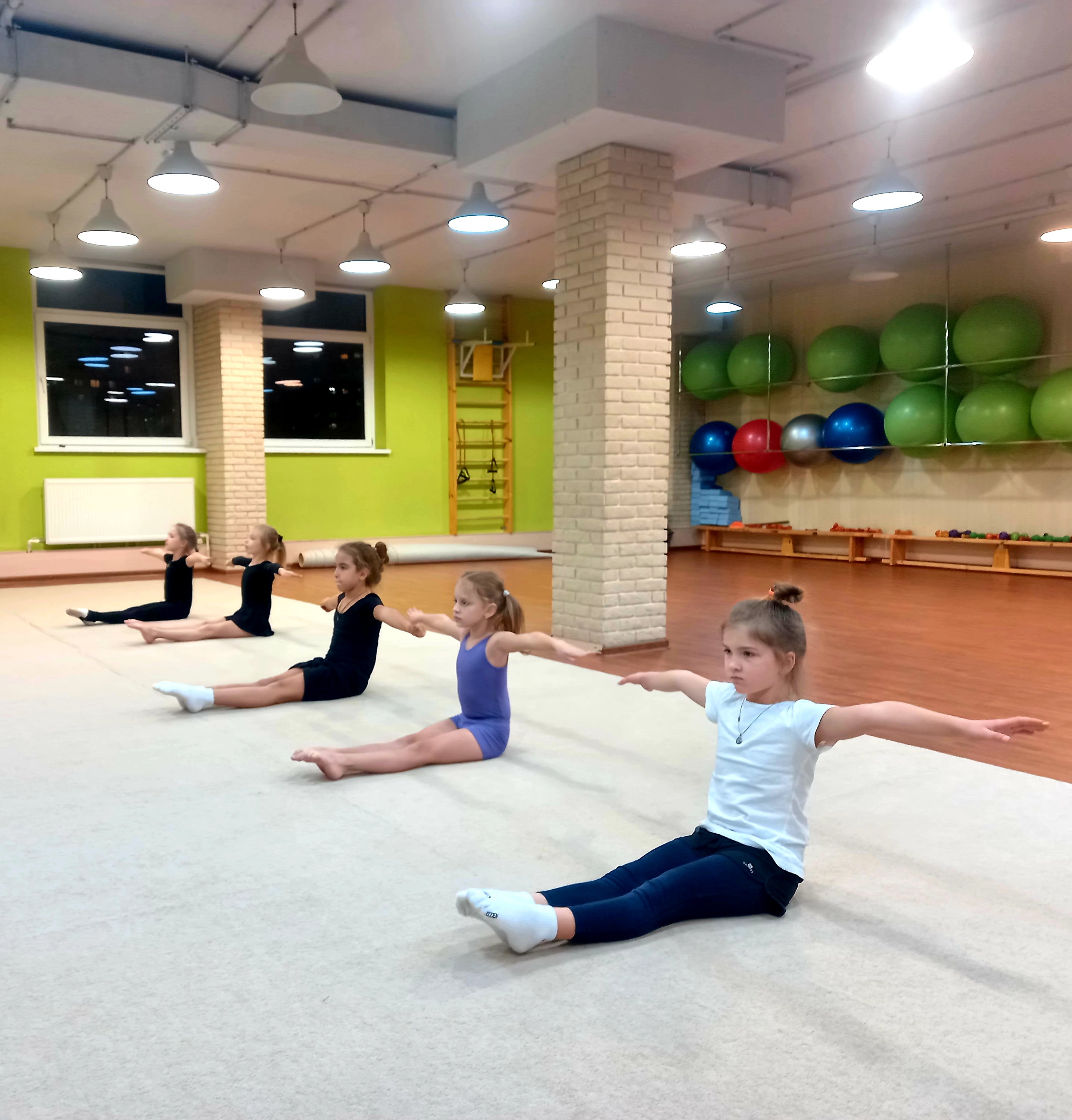 "Художественная гимнастика"