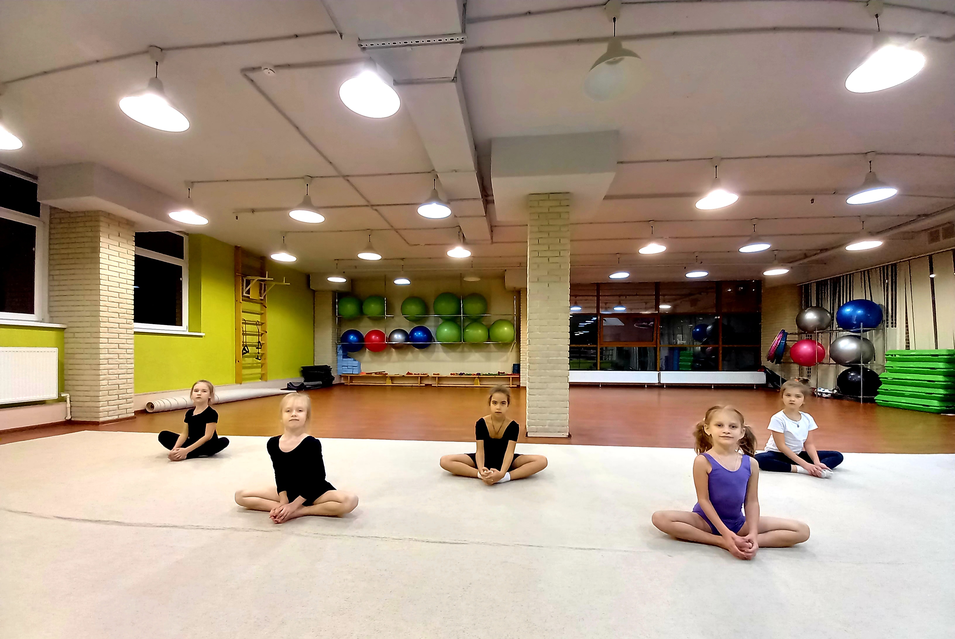 "Художественная гимнастика"