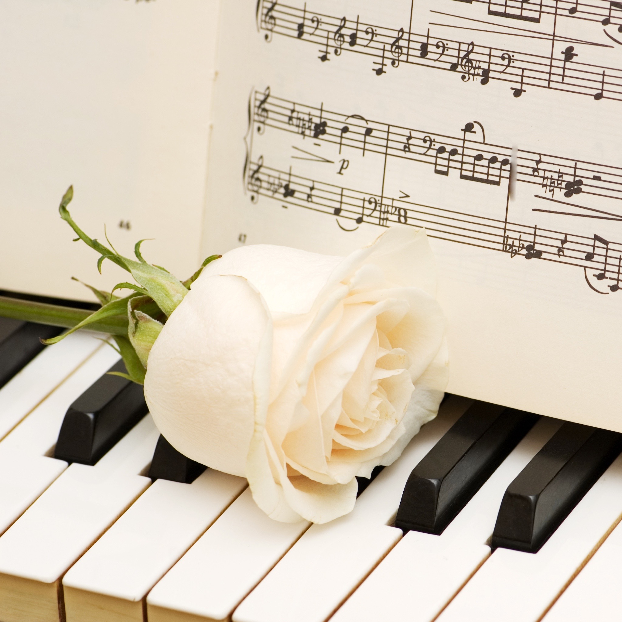 Фортепиано