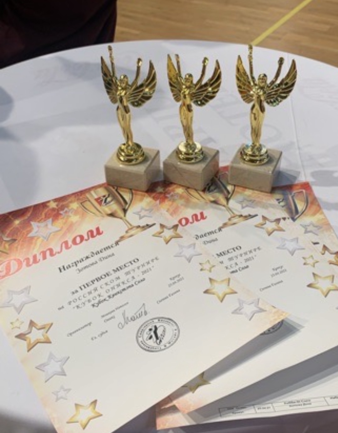 Студия Спортивного Бального Танца «Элегия»